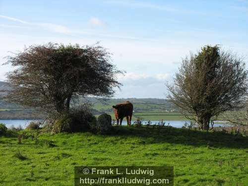 Lough Arrow